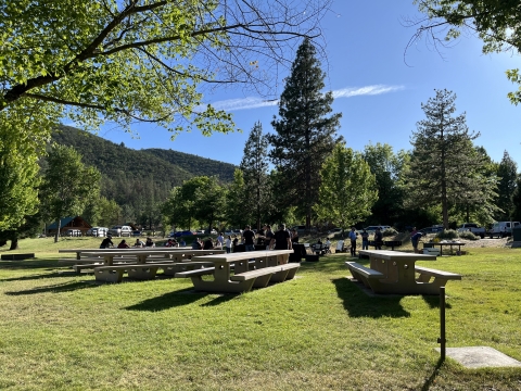 People stand and talk to one another next to picnic tables in a park surrounded by large trees.